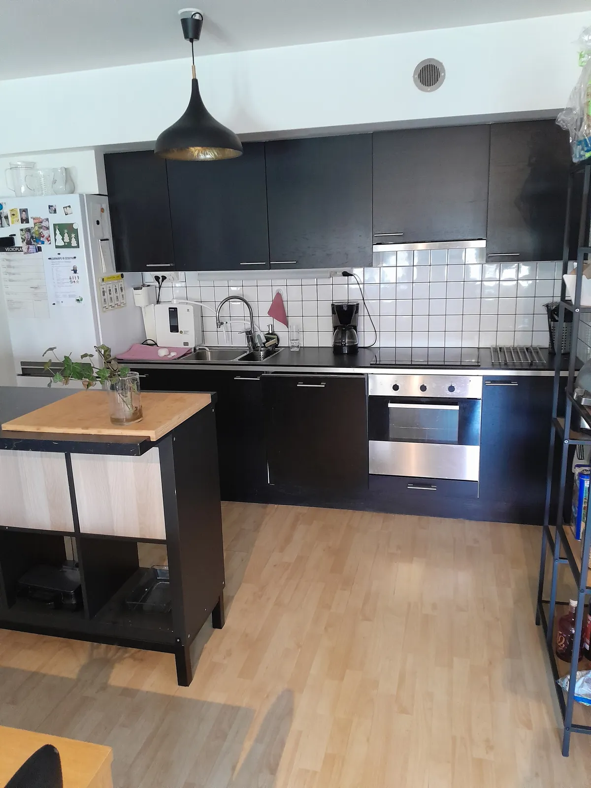 Strandvägen i Skottorp