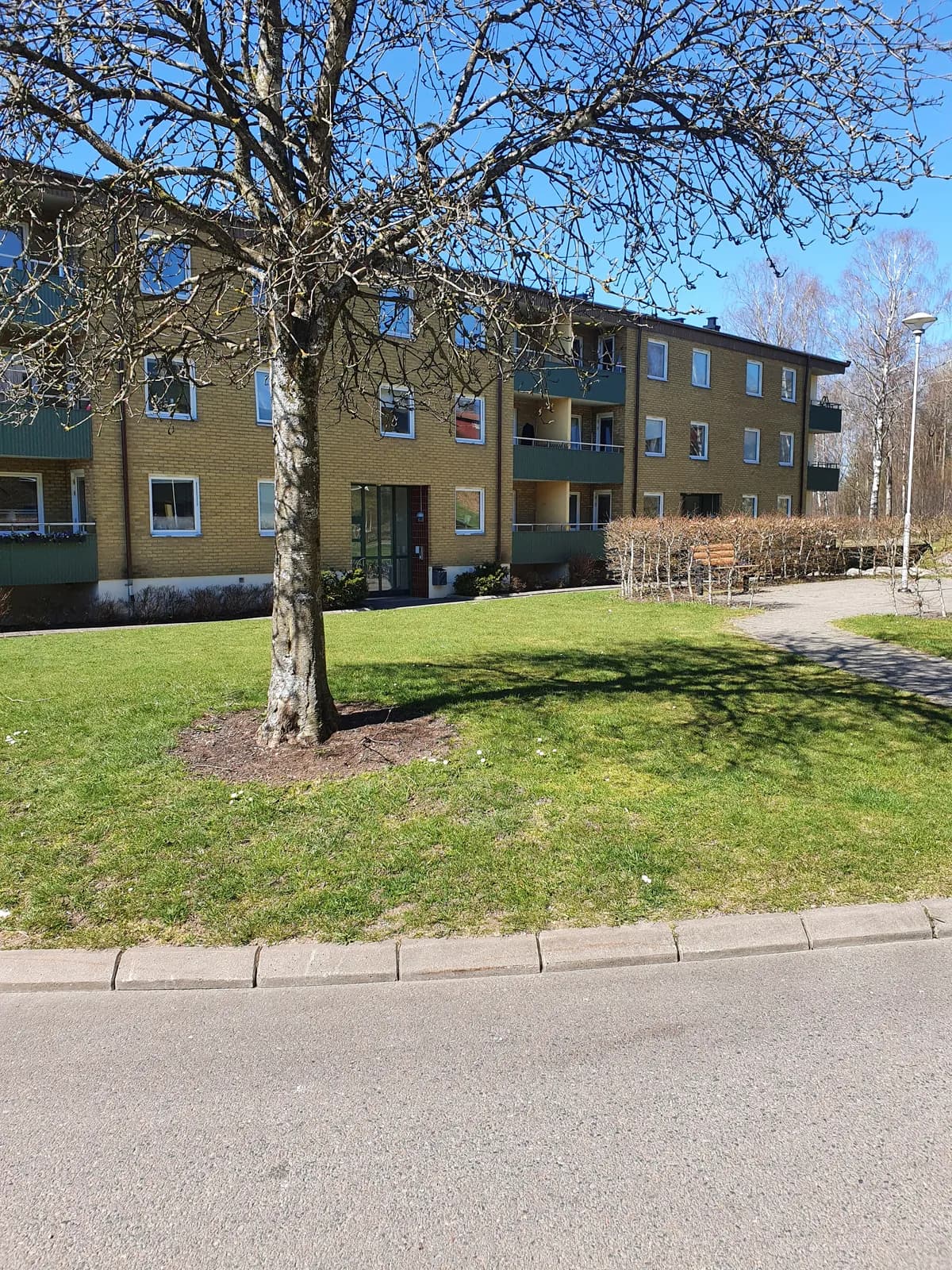 Liljebergsgatan i Borås