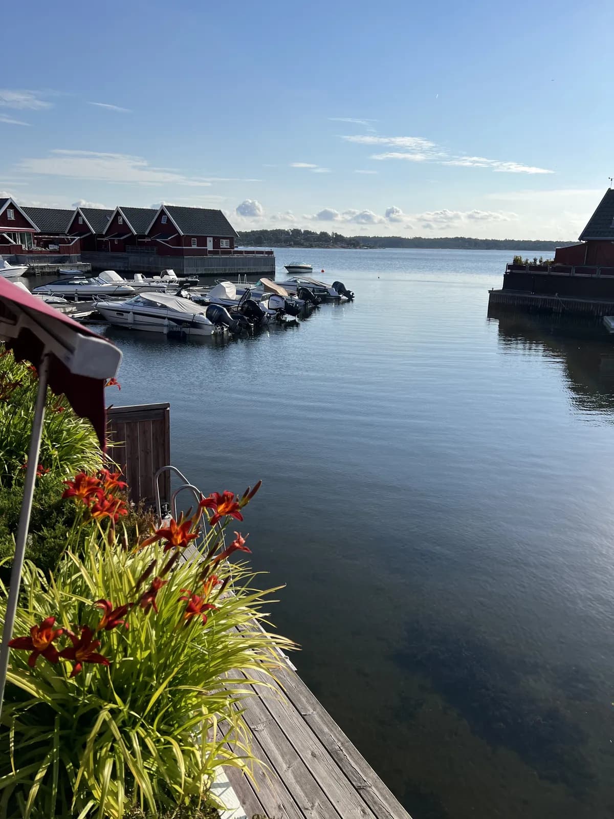 Økholmen i Vesterøy