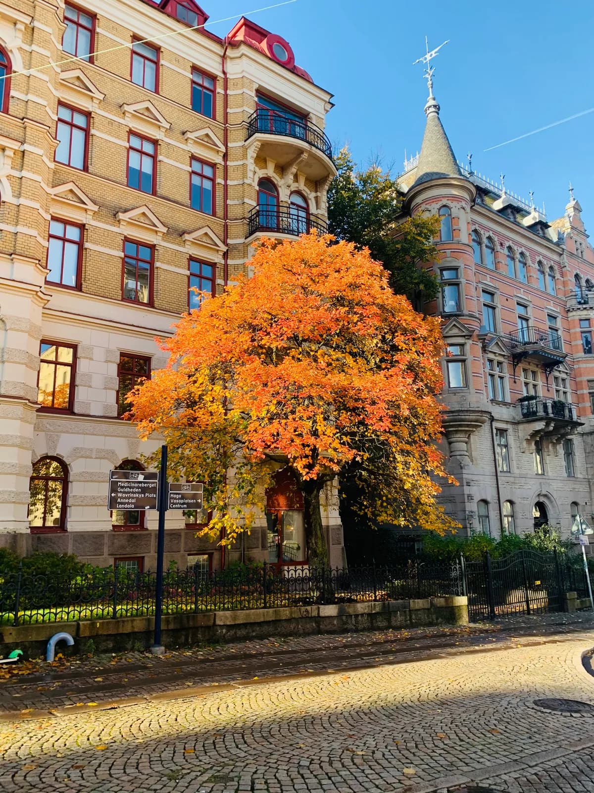 Viktoriagatan i Göteborg