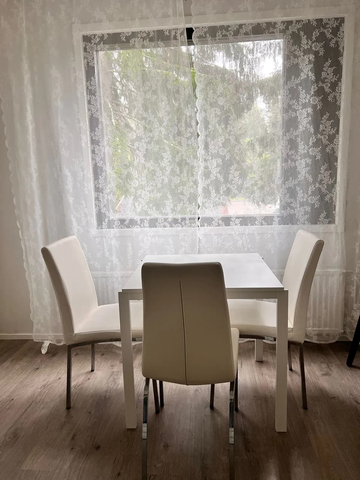 Kaakonpyrstö i Jyväskylä