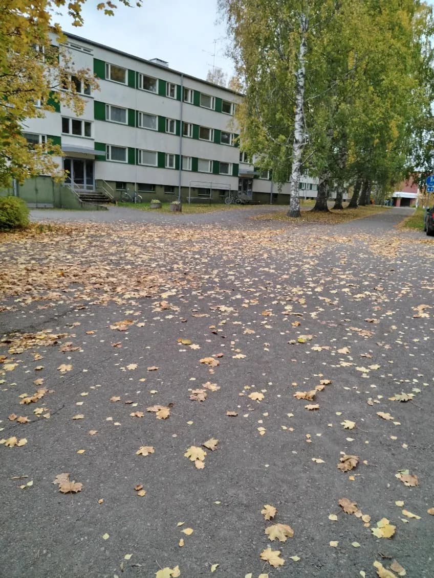 Puistokatu i Varkaus