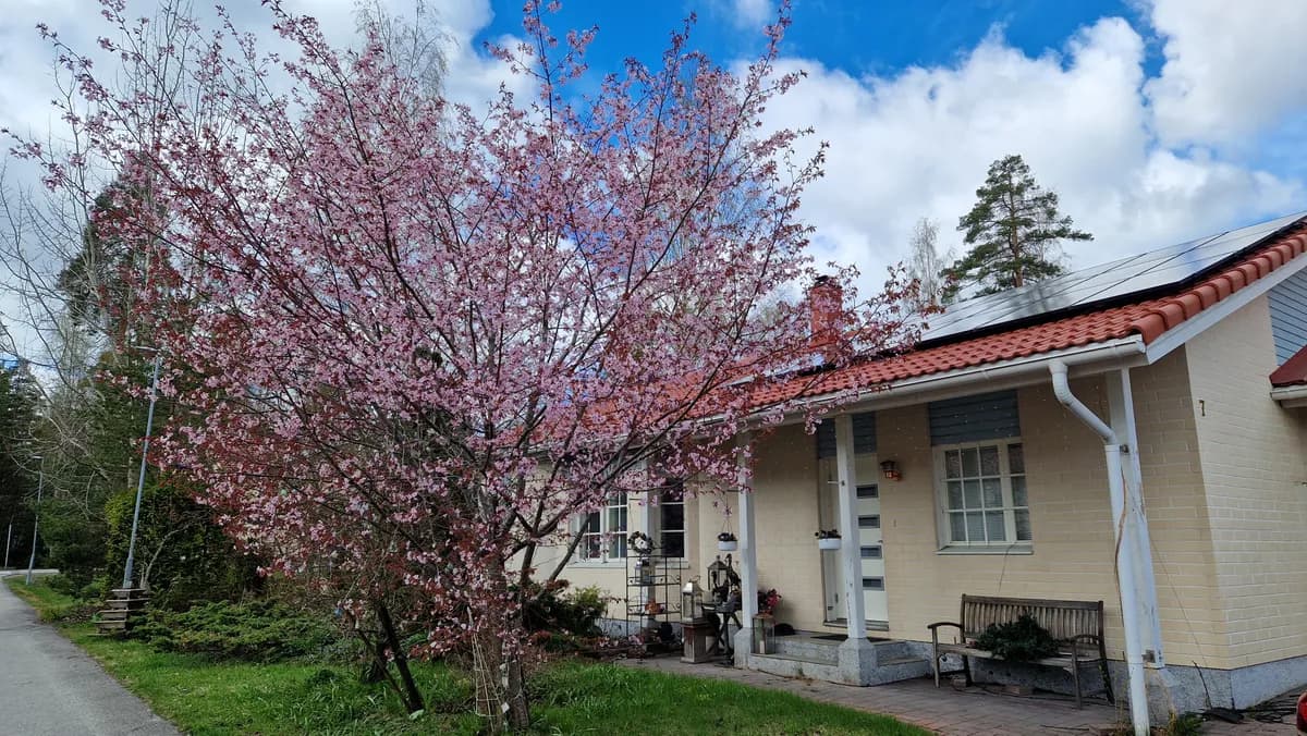 Nälköönkuja i Lohja