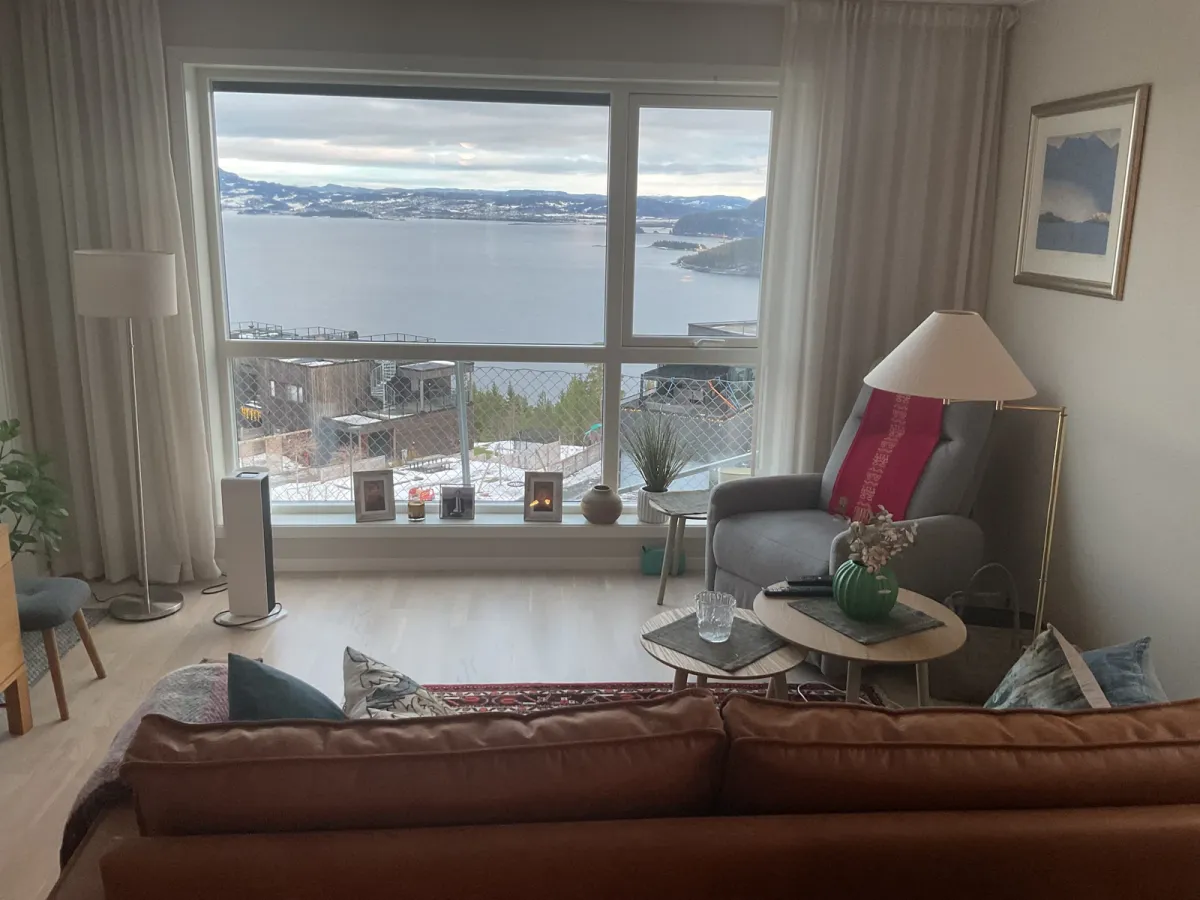 Vidhaugen i Hommelvik