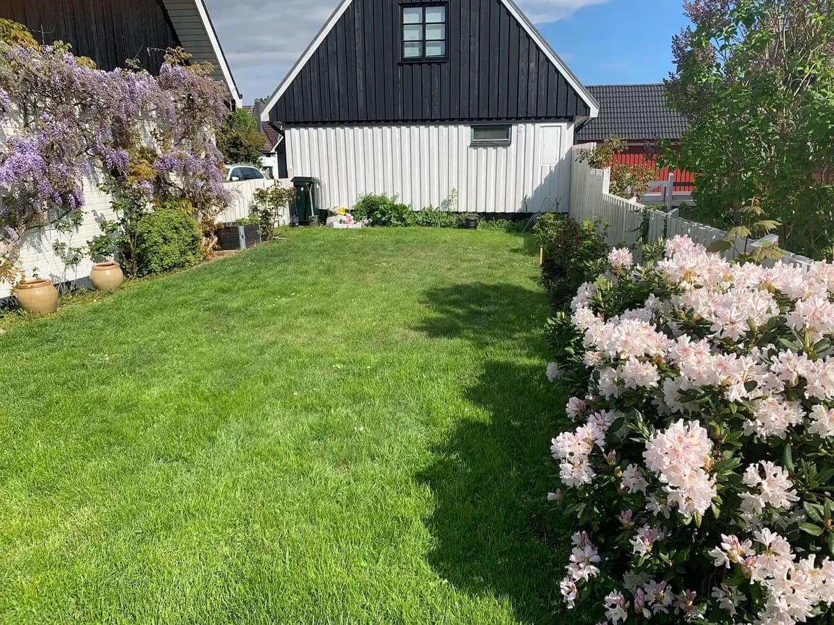 Skrakvägen i Falsterbo