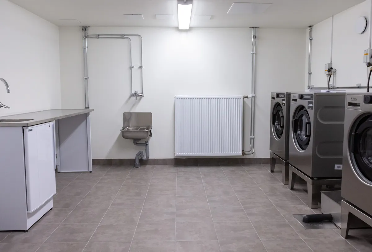 Druveforsvägen i Borås