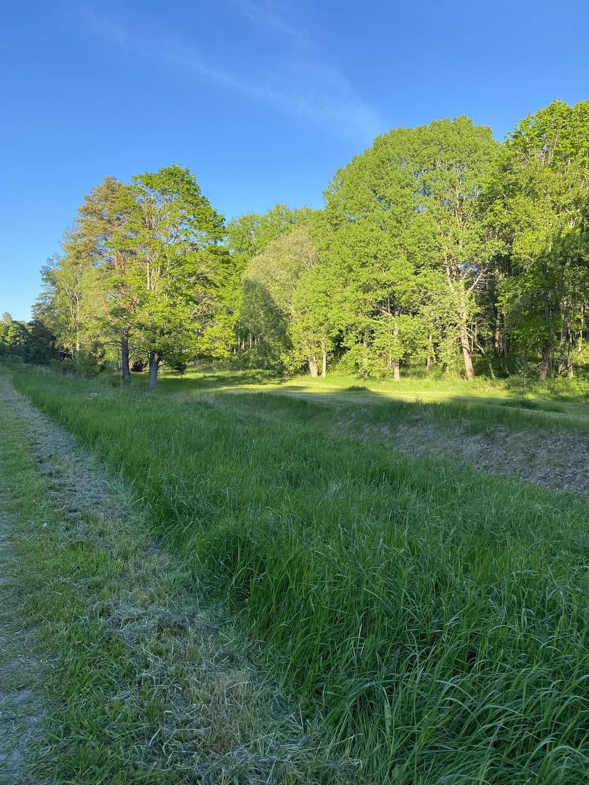 Constantiavägen i Lidingö