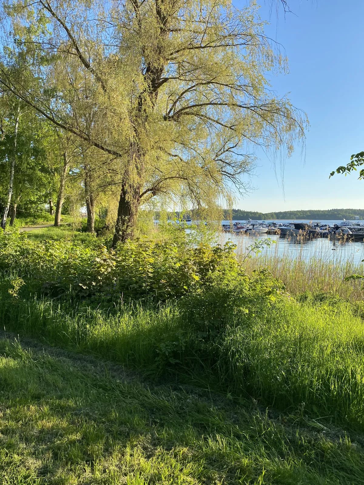 Constantiavägen i Lidingö