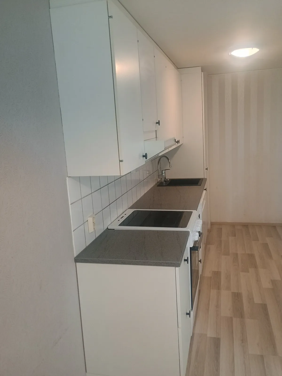 Riekkopolku i Rauma