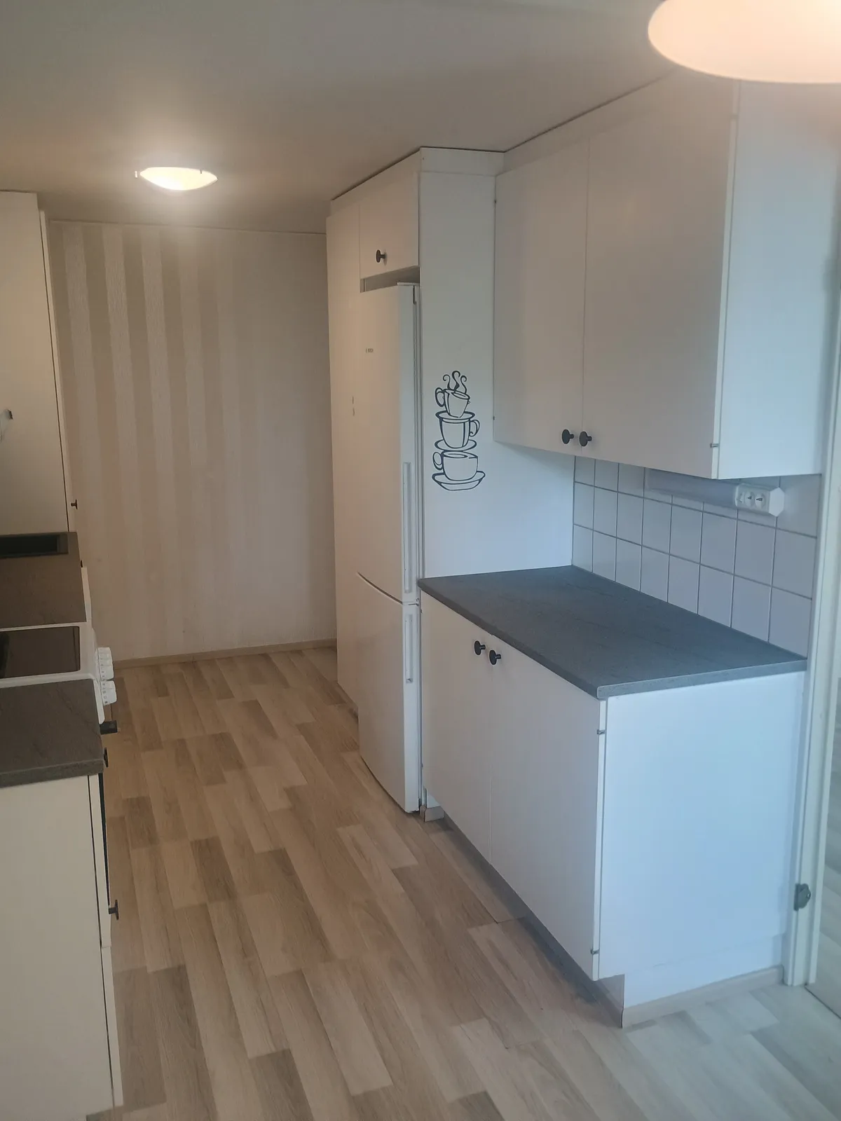 Riekkopolku i Rauma