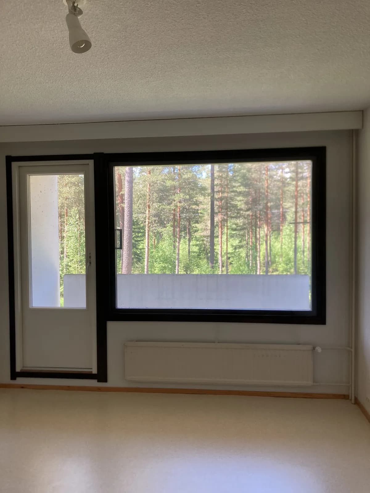 Puistotie i Halli