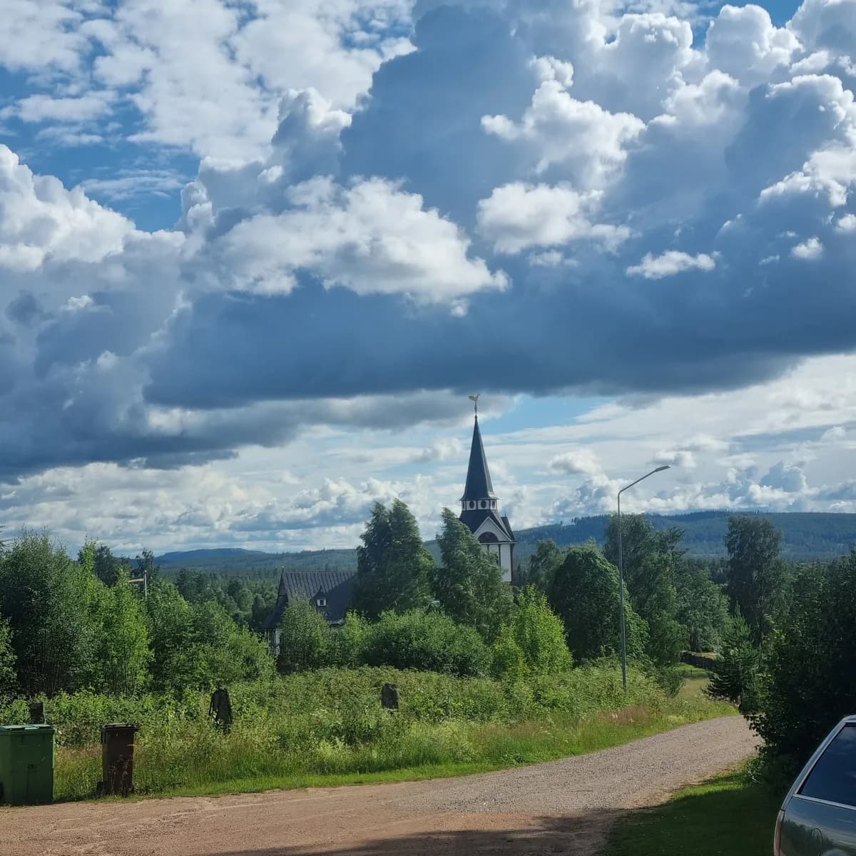Älvros i Sveg