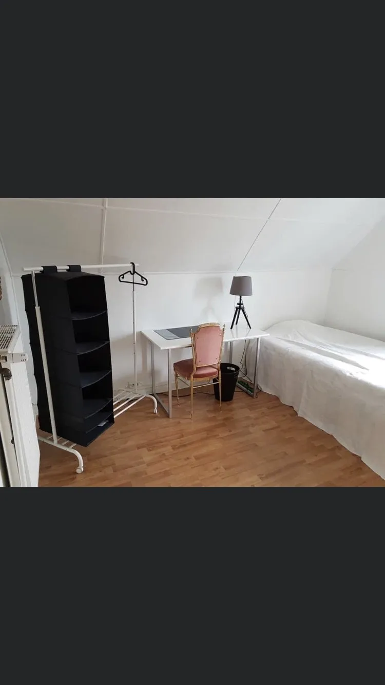 Furugatan i Helsingborg