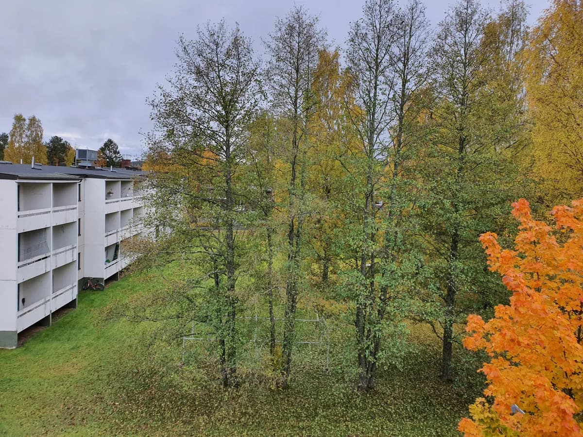 Koulutie i Vihtavuori