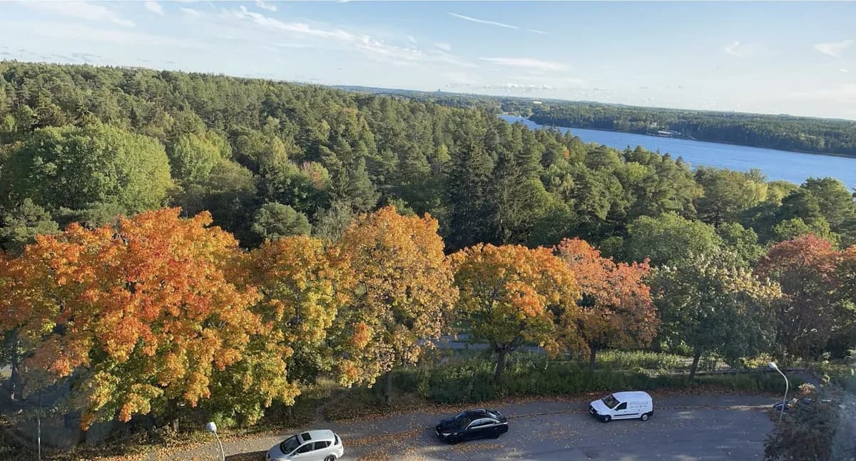 Aprikosgatan i Hässelby