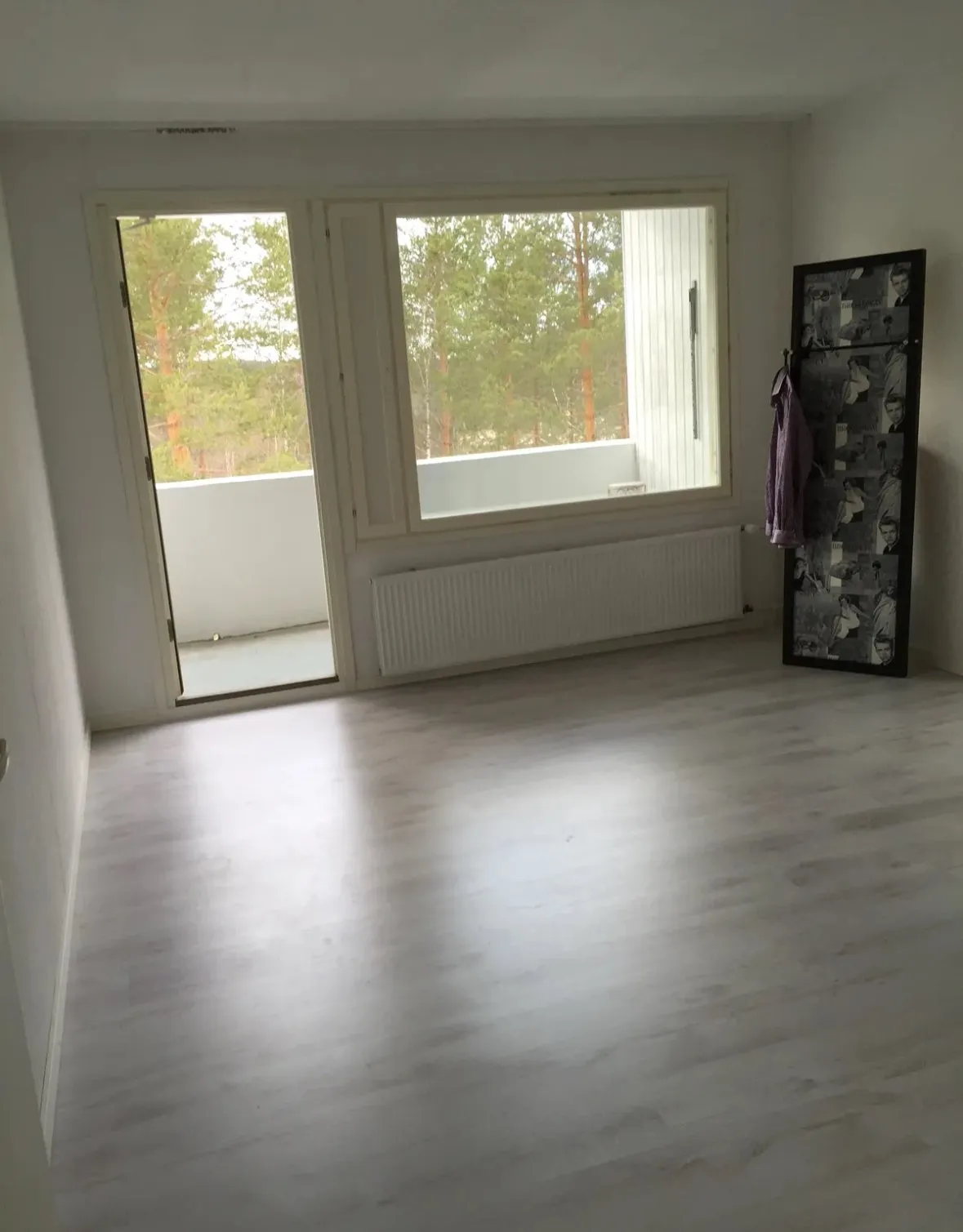 Samettijalka i Jyväskylä