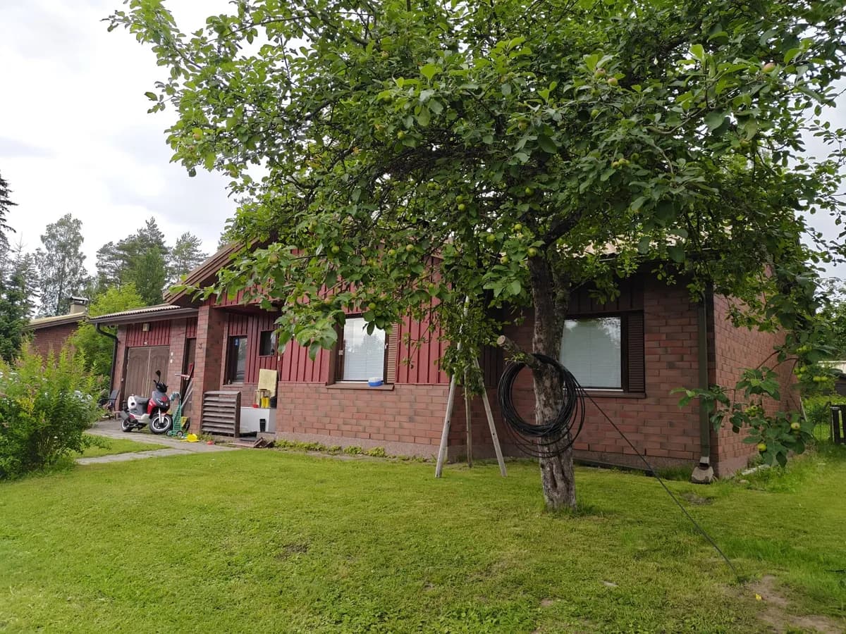 Orakaskuja i Varkaus