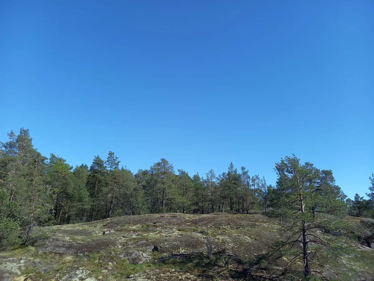 Piispankallio i Espoo