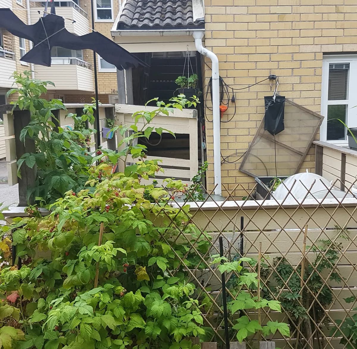 Trefaldighetsvägen i Täby