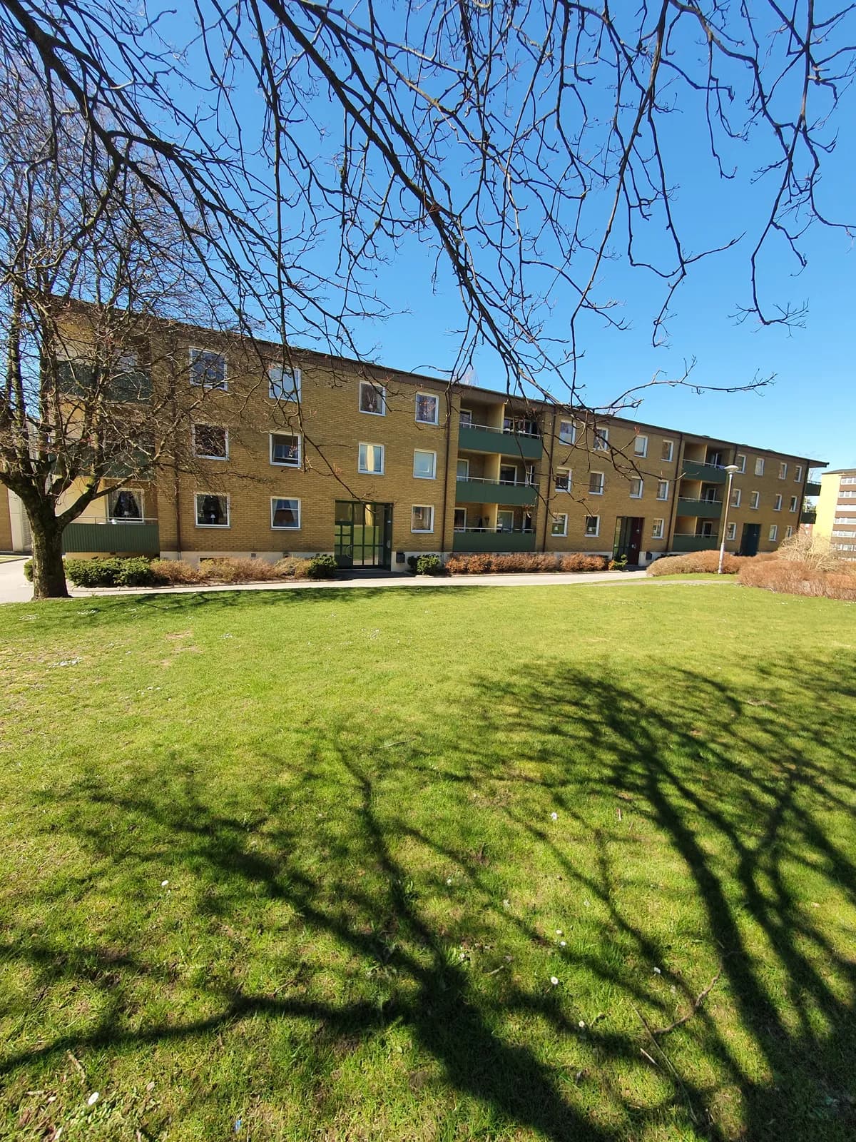 Liljebergsgatan i Borås