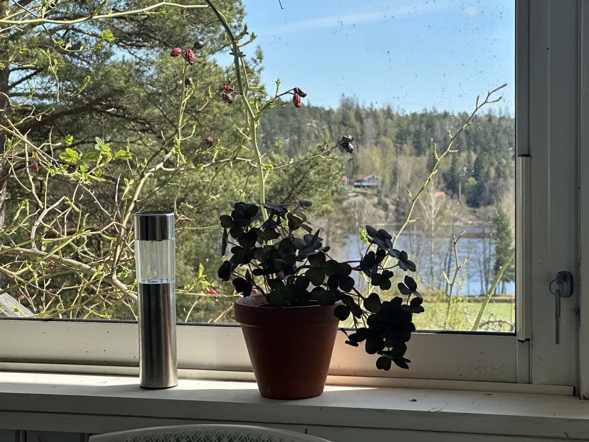 Ängen i Mölnbo