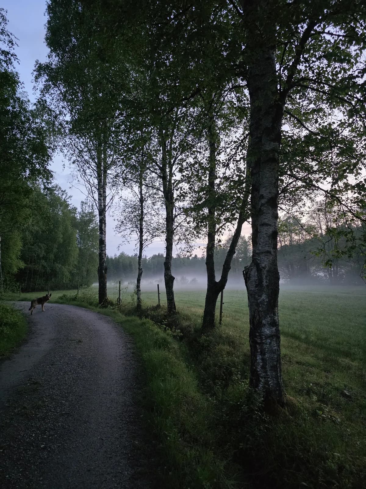 Labol i Spekeröd