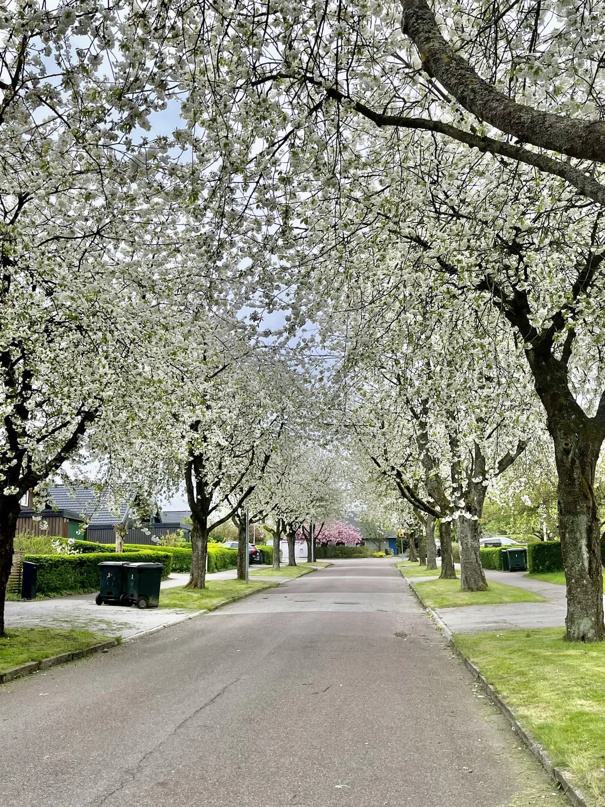 Drätselgränden i Lund