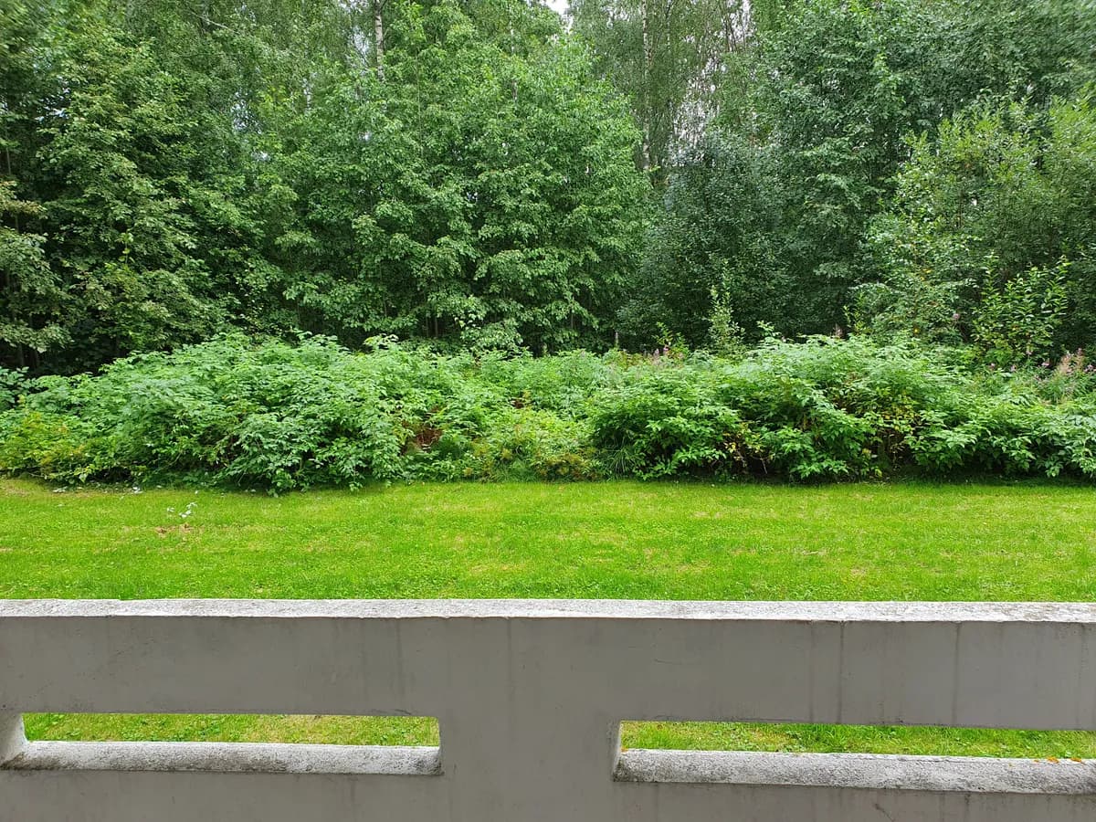 Sananiekantie i Jyväskylä