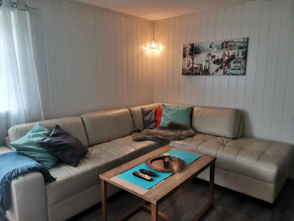 Ringheimsvegen i Skulestadmo