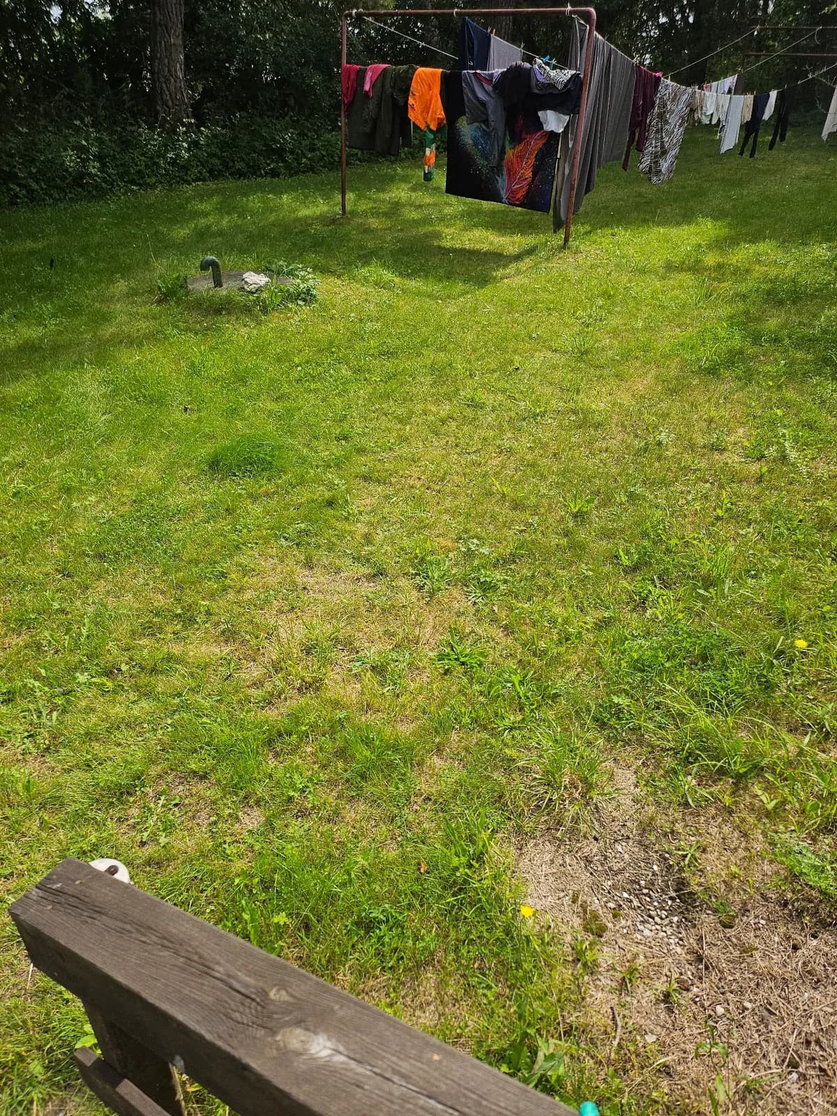 Smiss i Tingstäde