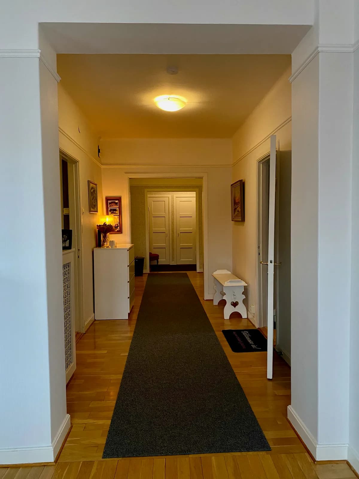Första Villagatan i Borås