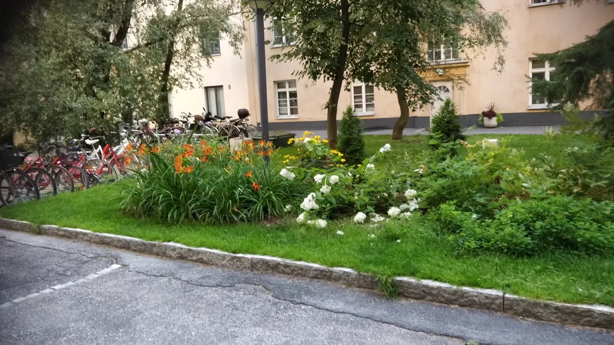 Urheilukatu i Helsinki