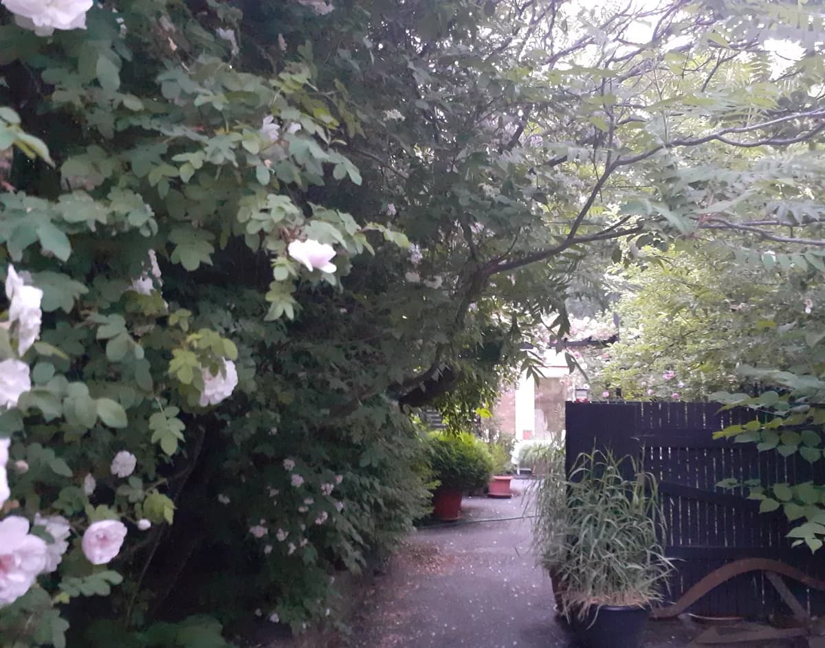 Marielundsvägen i Adelsö