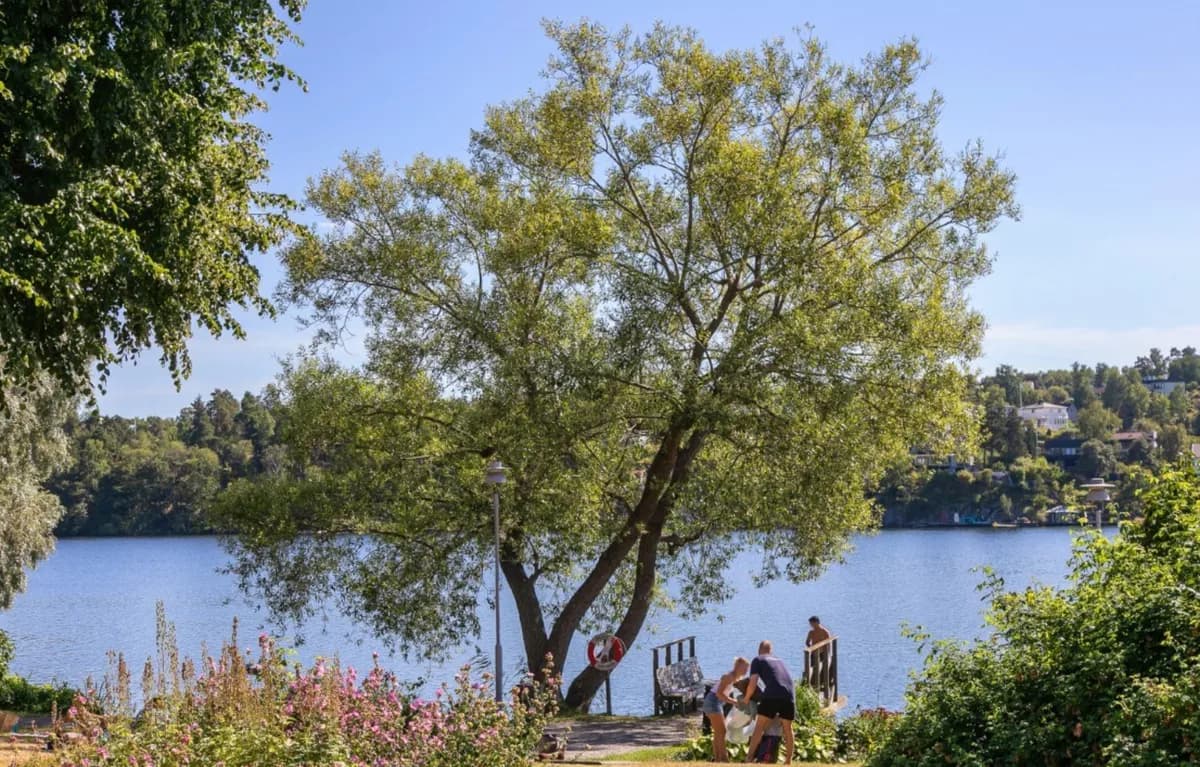 Buddes gränd i Nacka