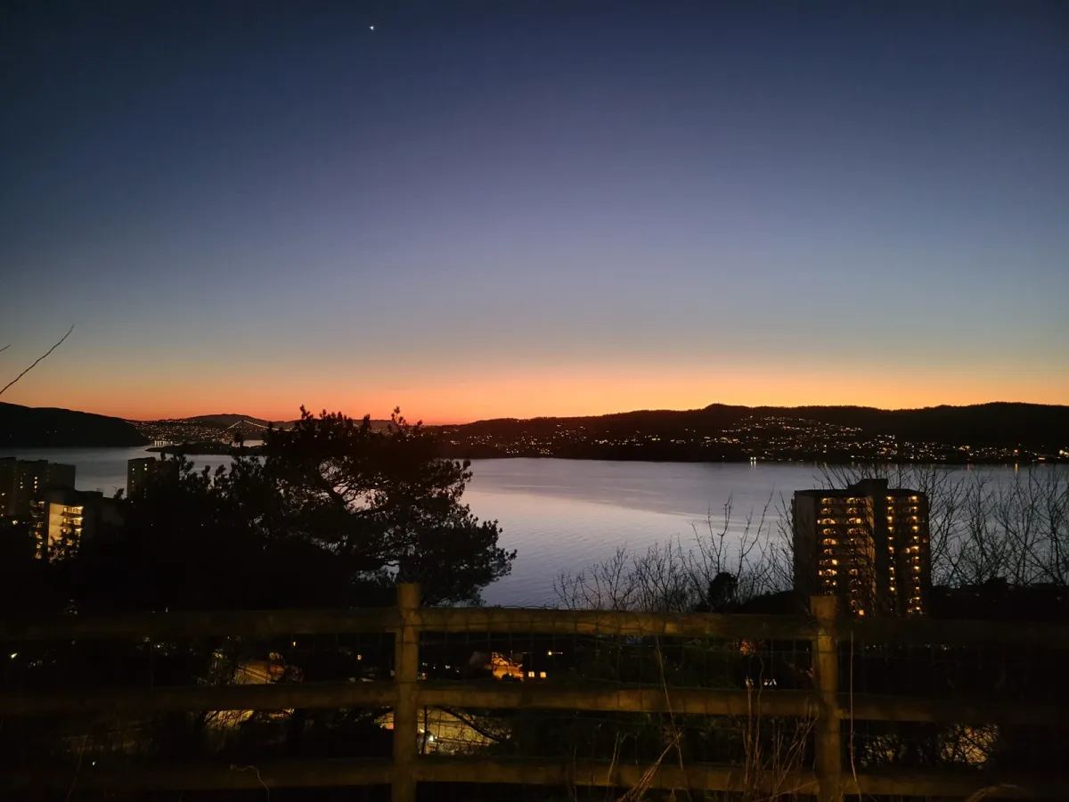 lyngveien i Eidsvågneset