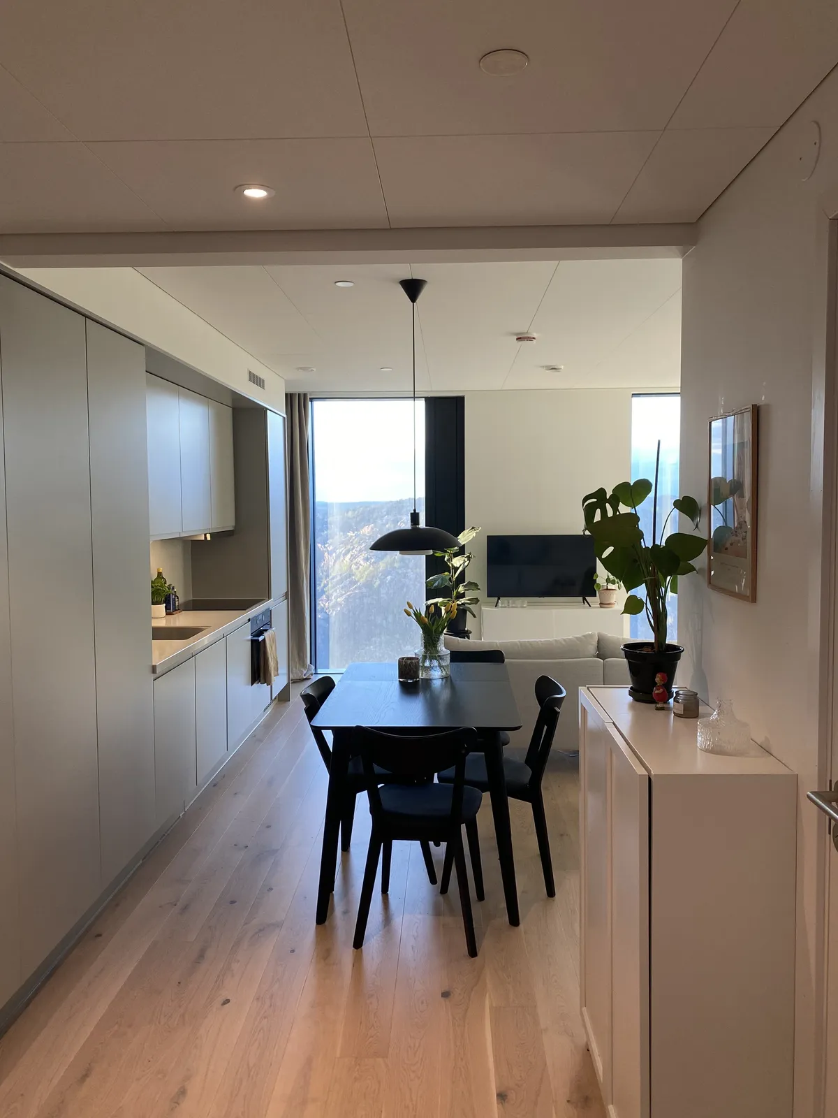 Lodjursstråket i Göteborg