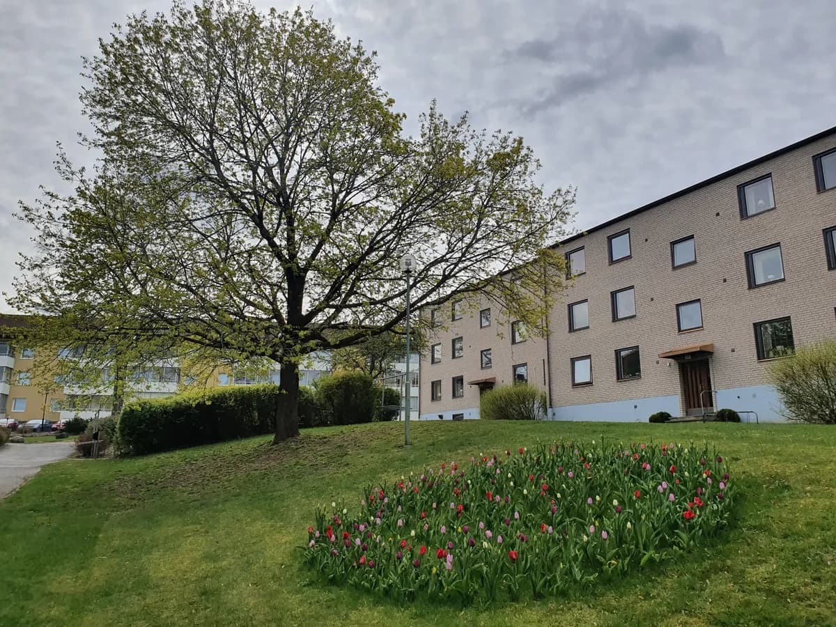 Norra Sjöbogatan
