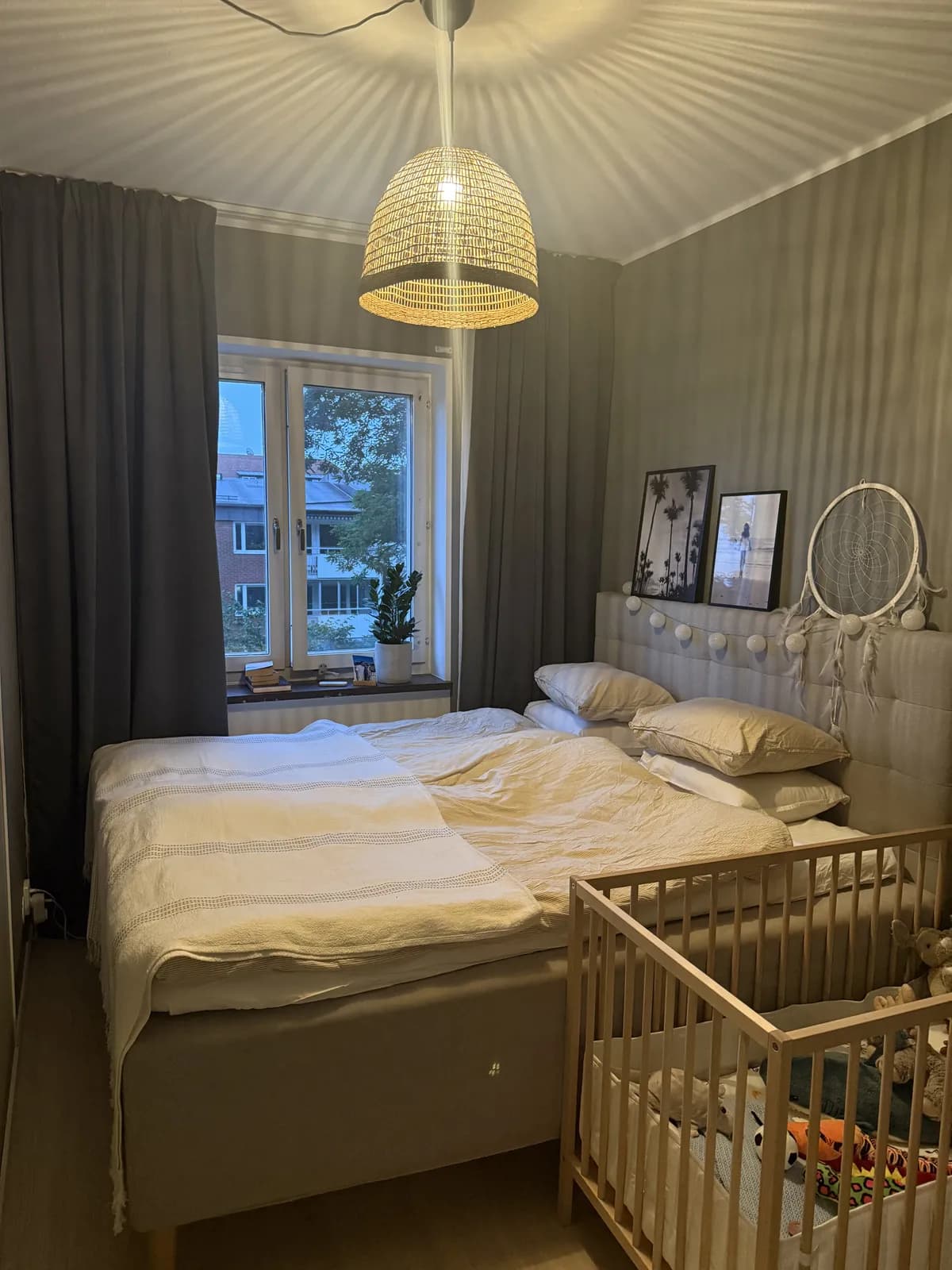 Rektorsgatan i Helsingborg