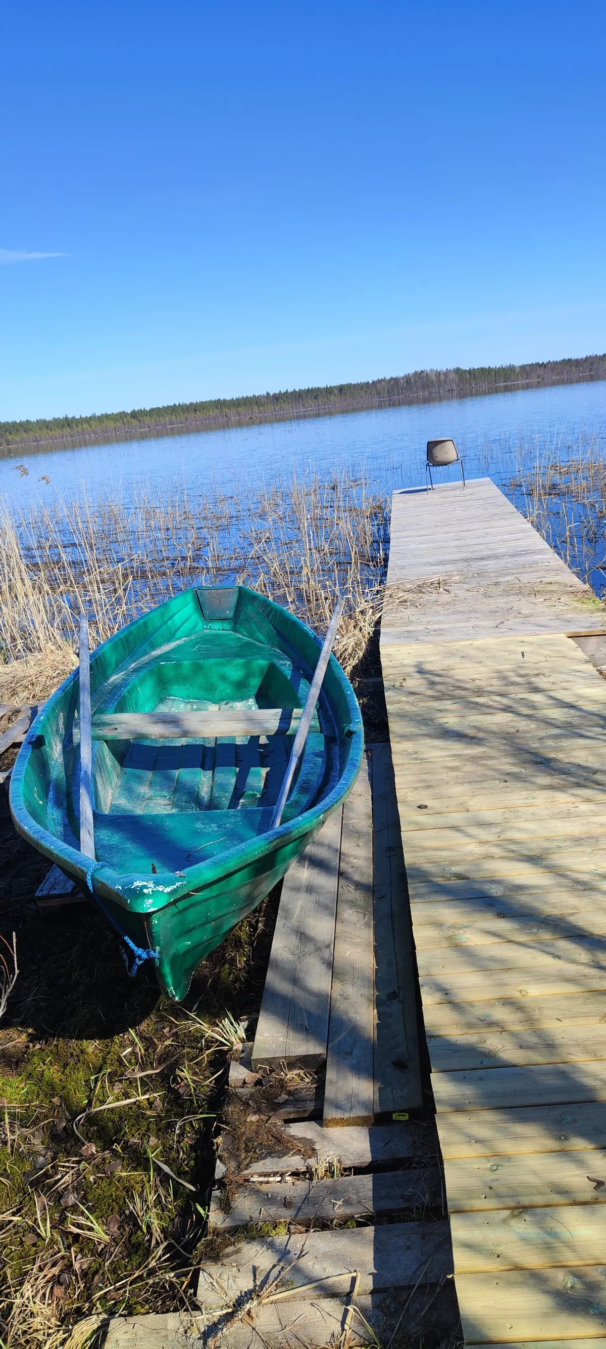 Rykynkuja i sipola