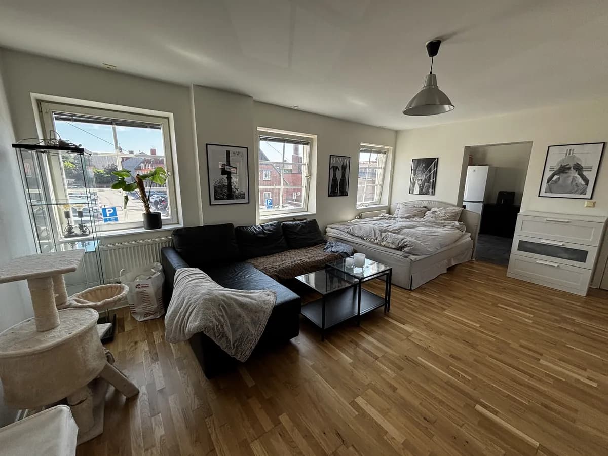Trädgårdsgatan i Ystad