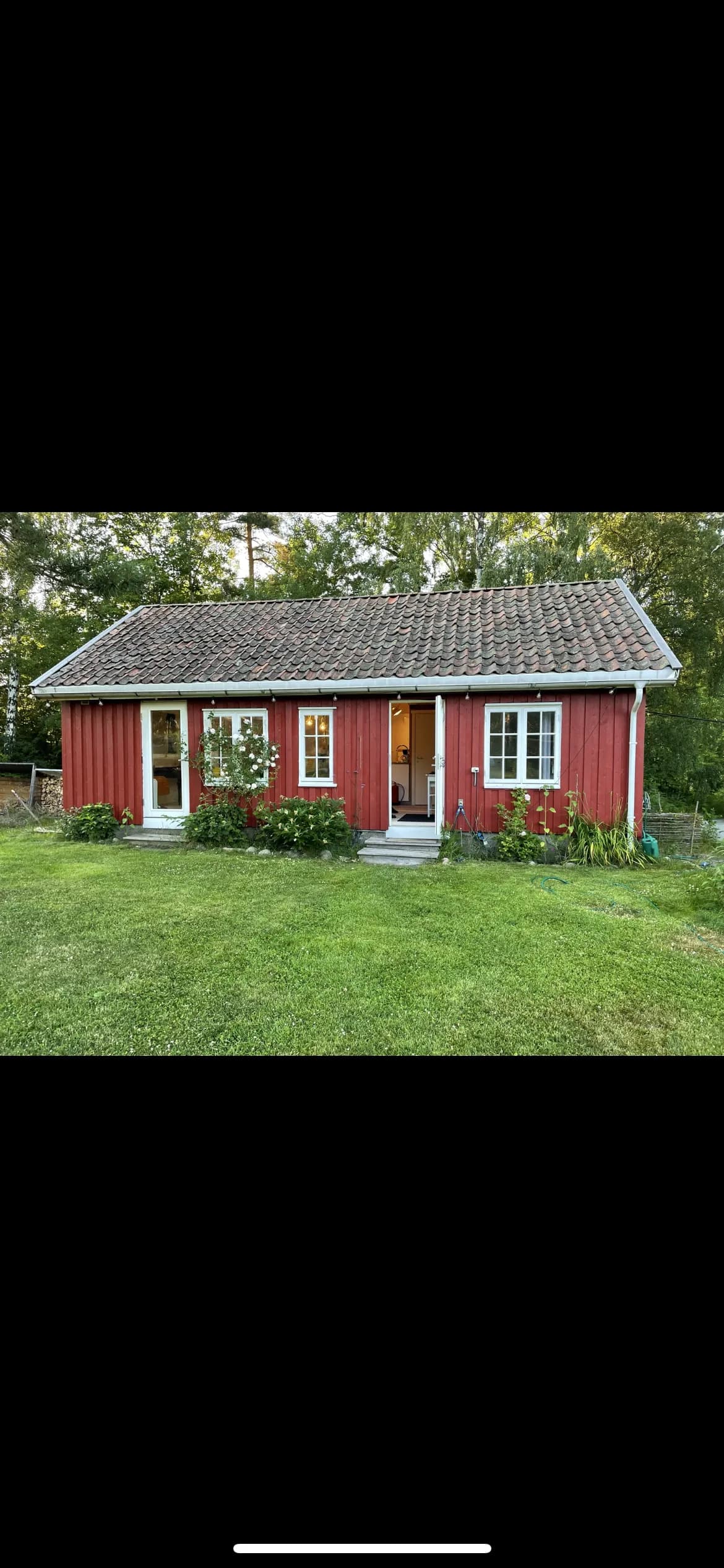 Bakkeskogen i Dilling