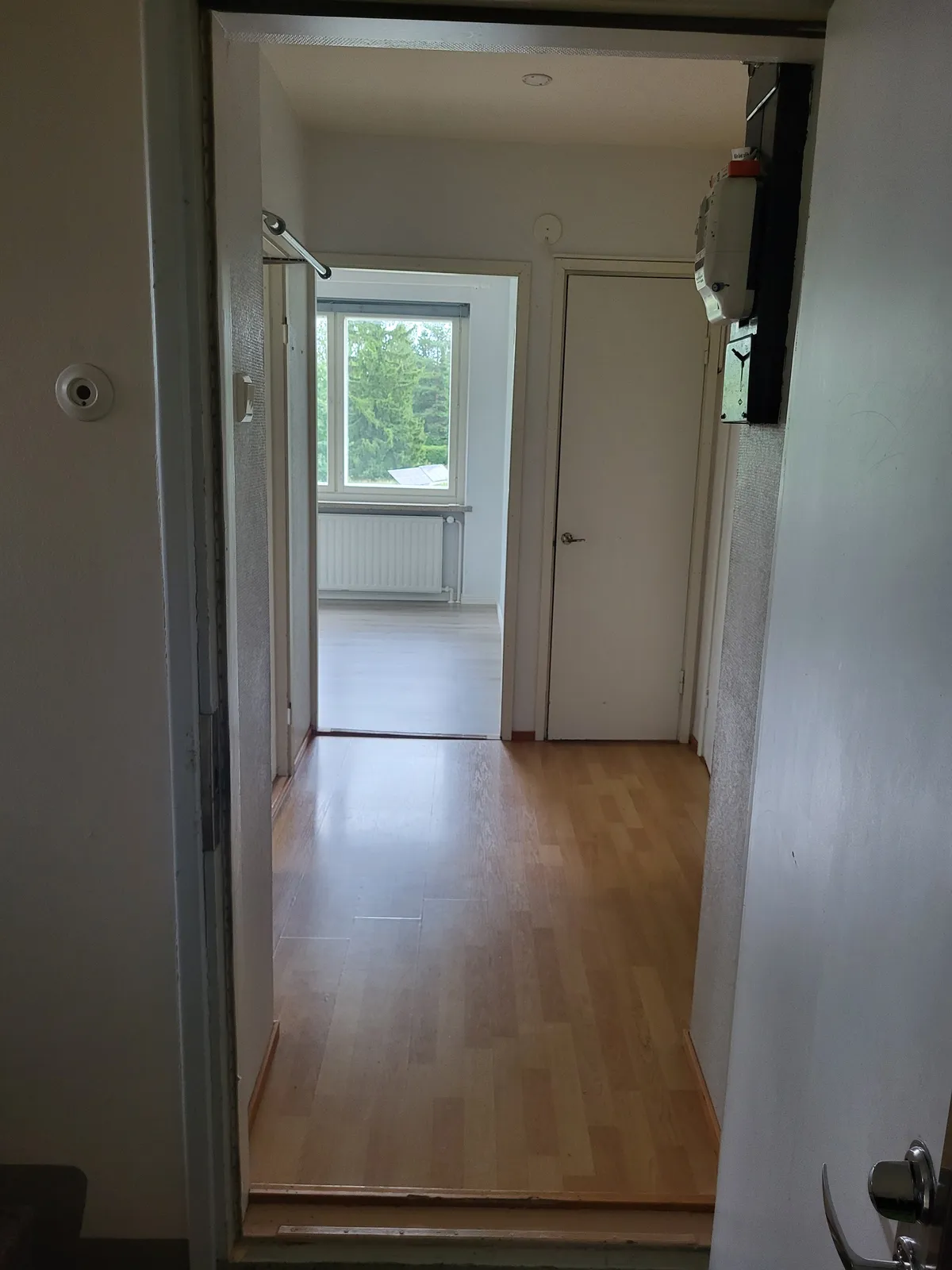 Härkätie i Ollila