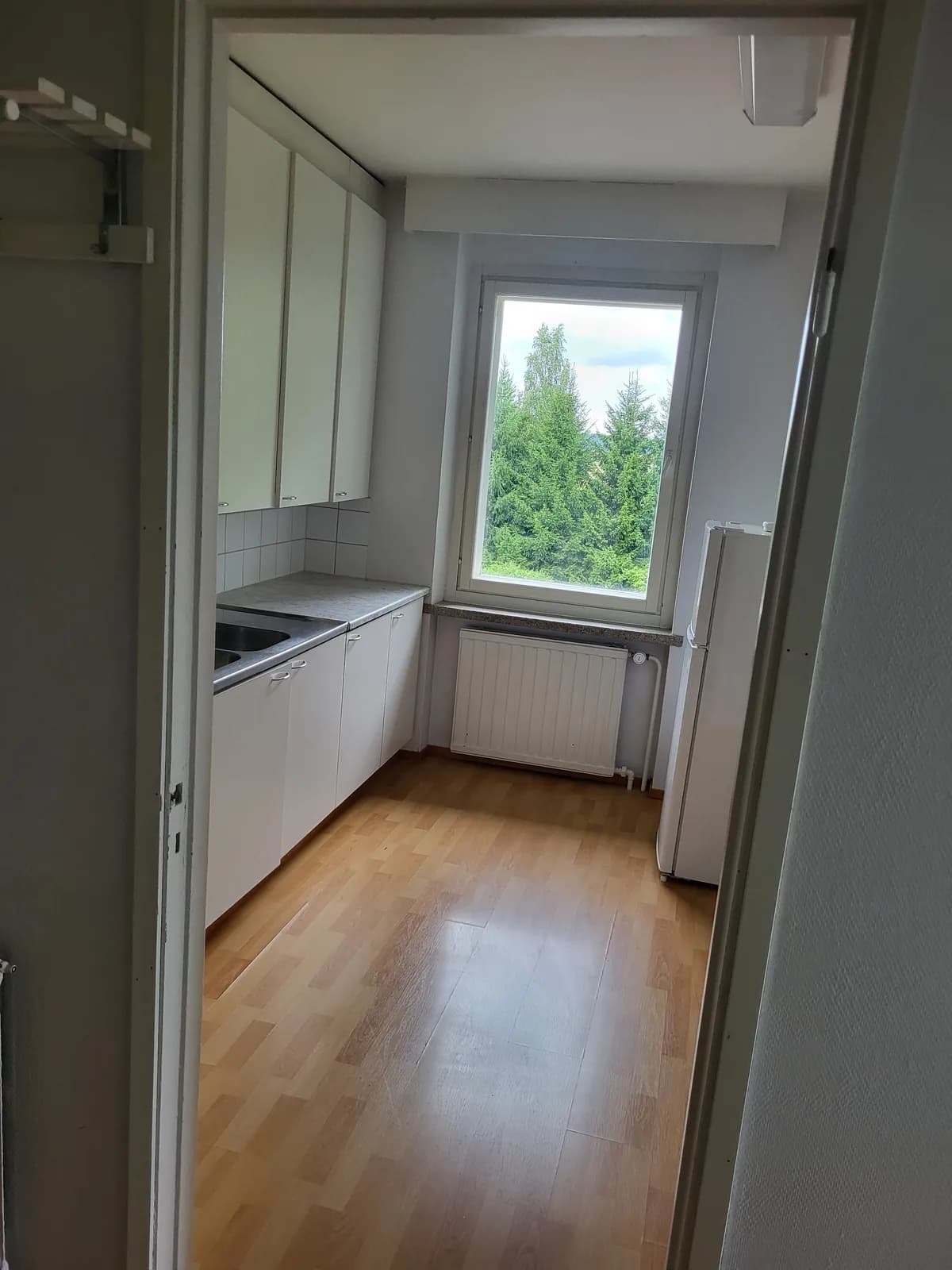 Härkätie i Ollila