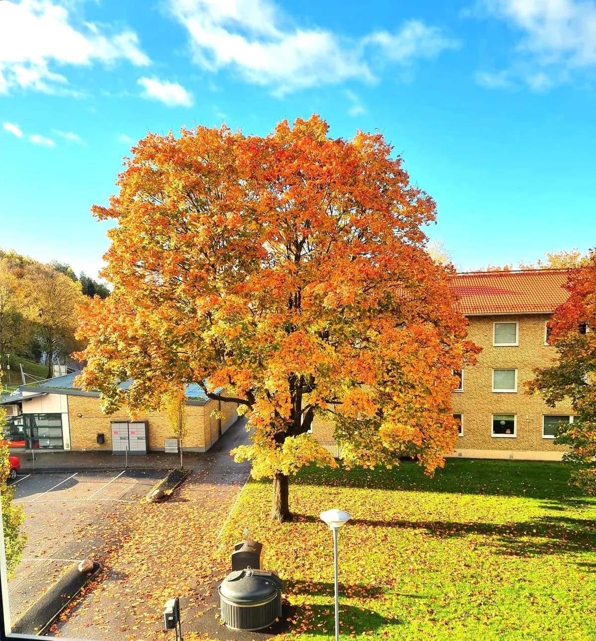 Engelbrektsgatan i Borås