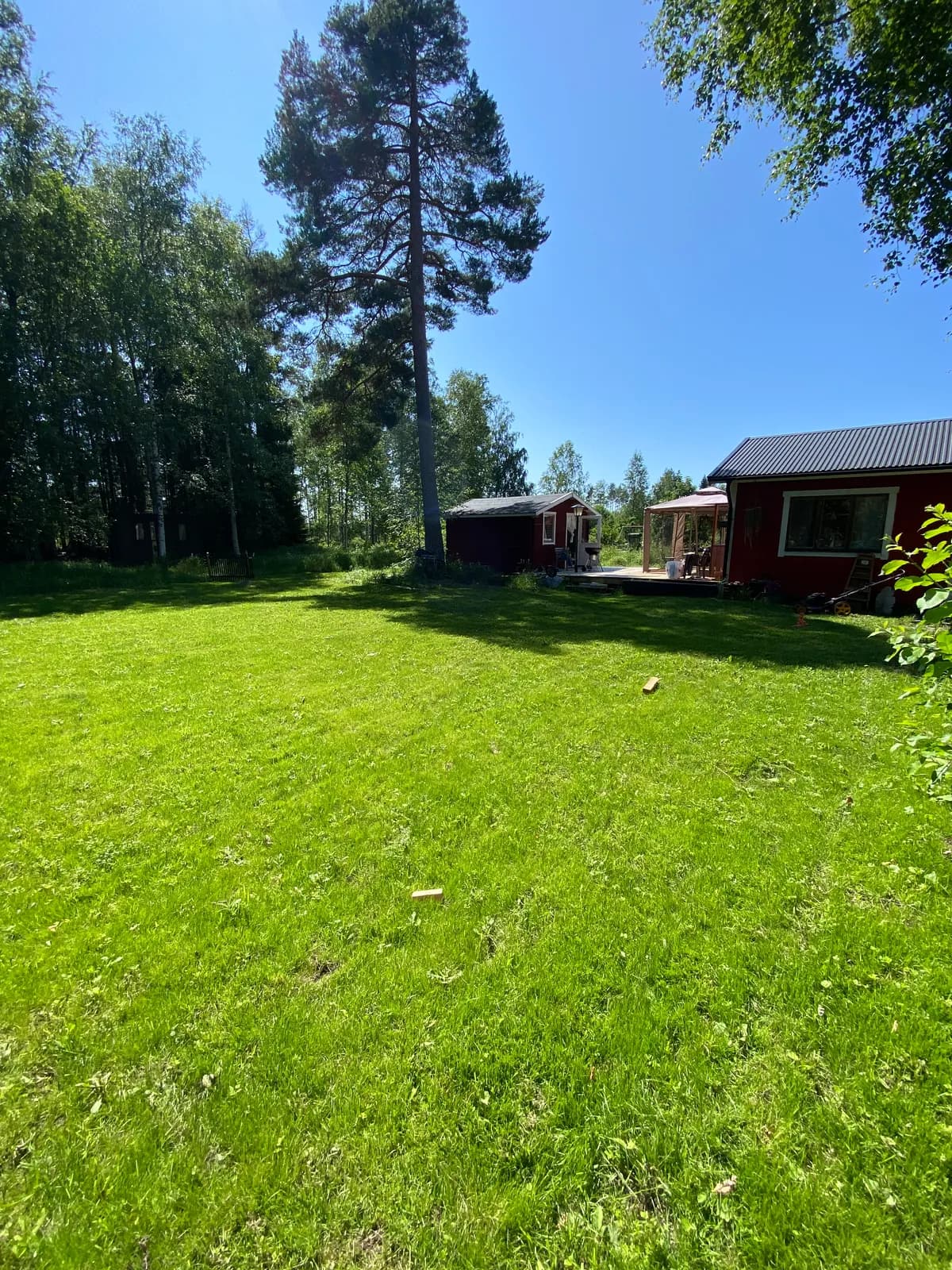 Smultronstigen i Skutskär