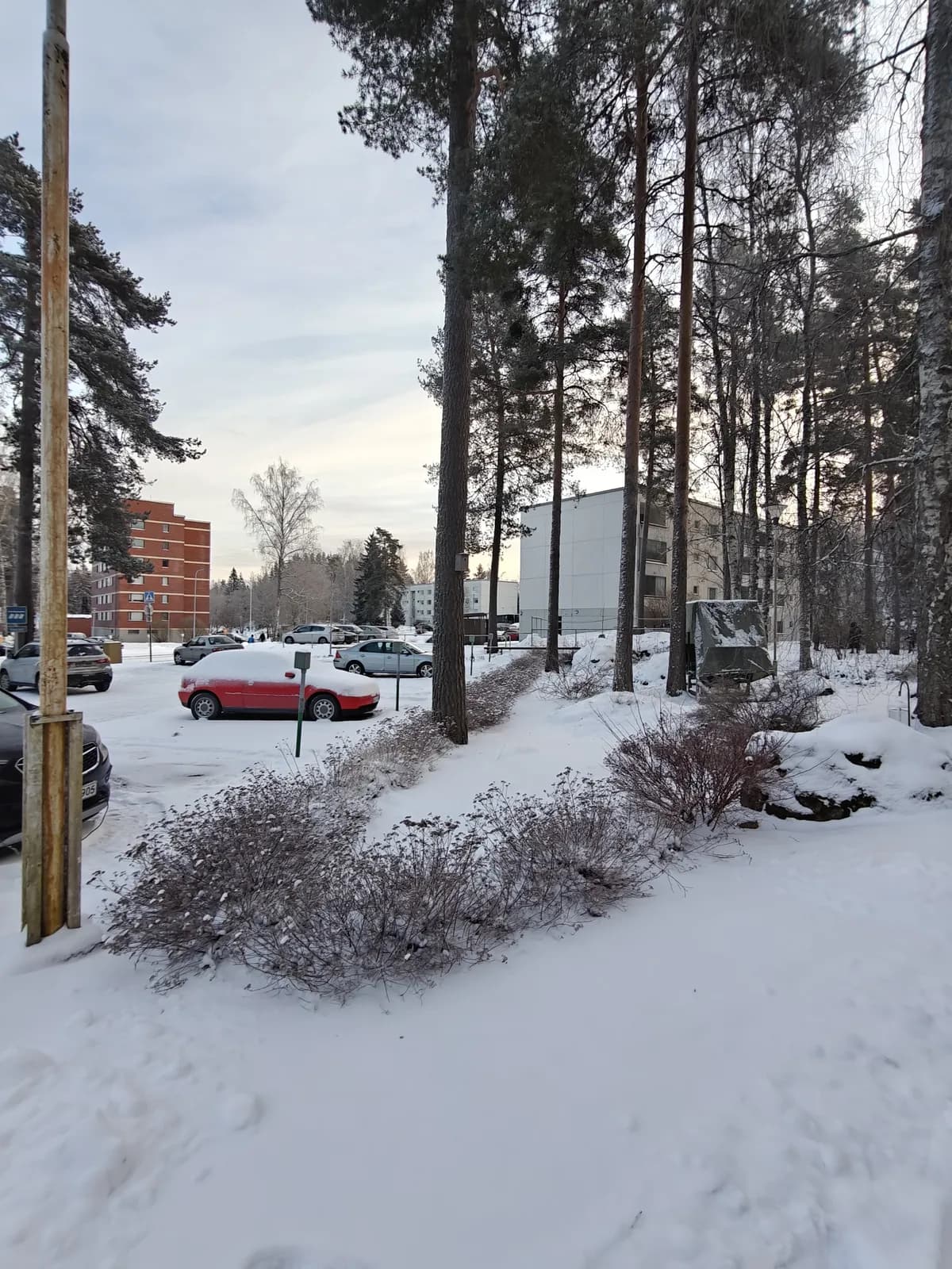 Sointulantie i Valkeakoski