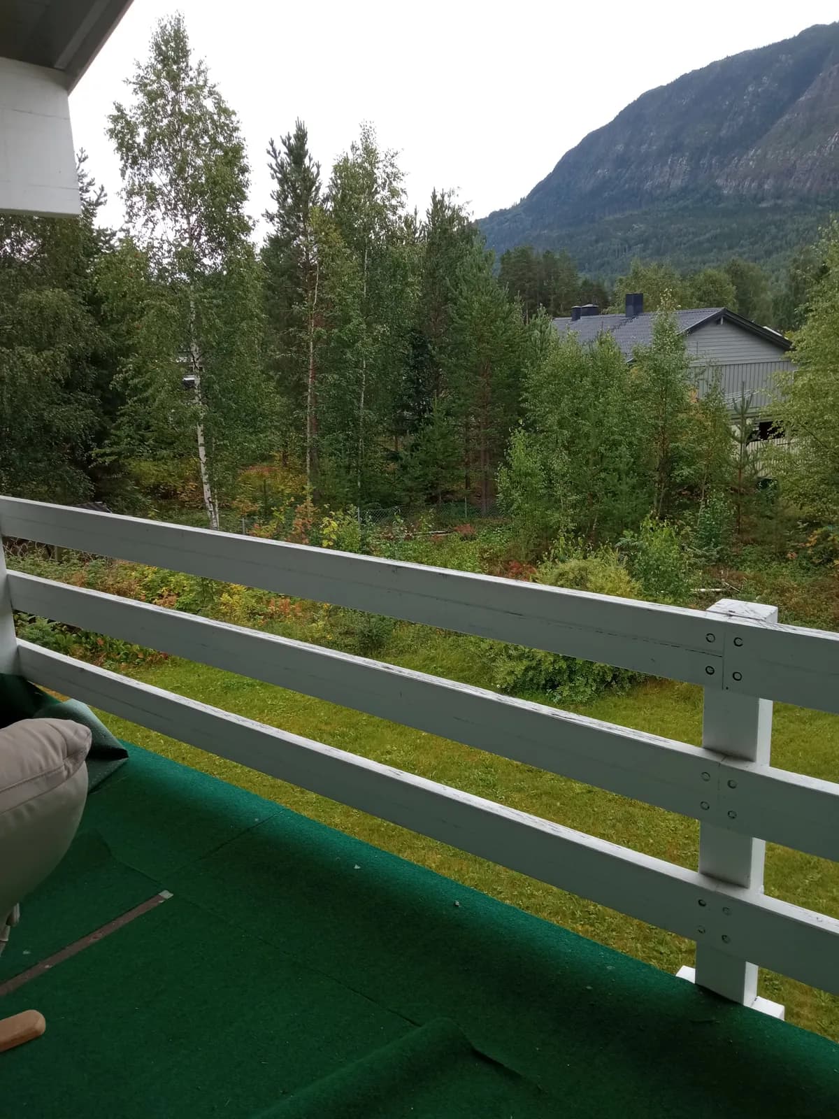 Tøllemovegen i Nesbyen