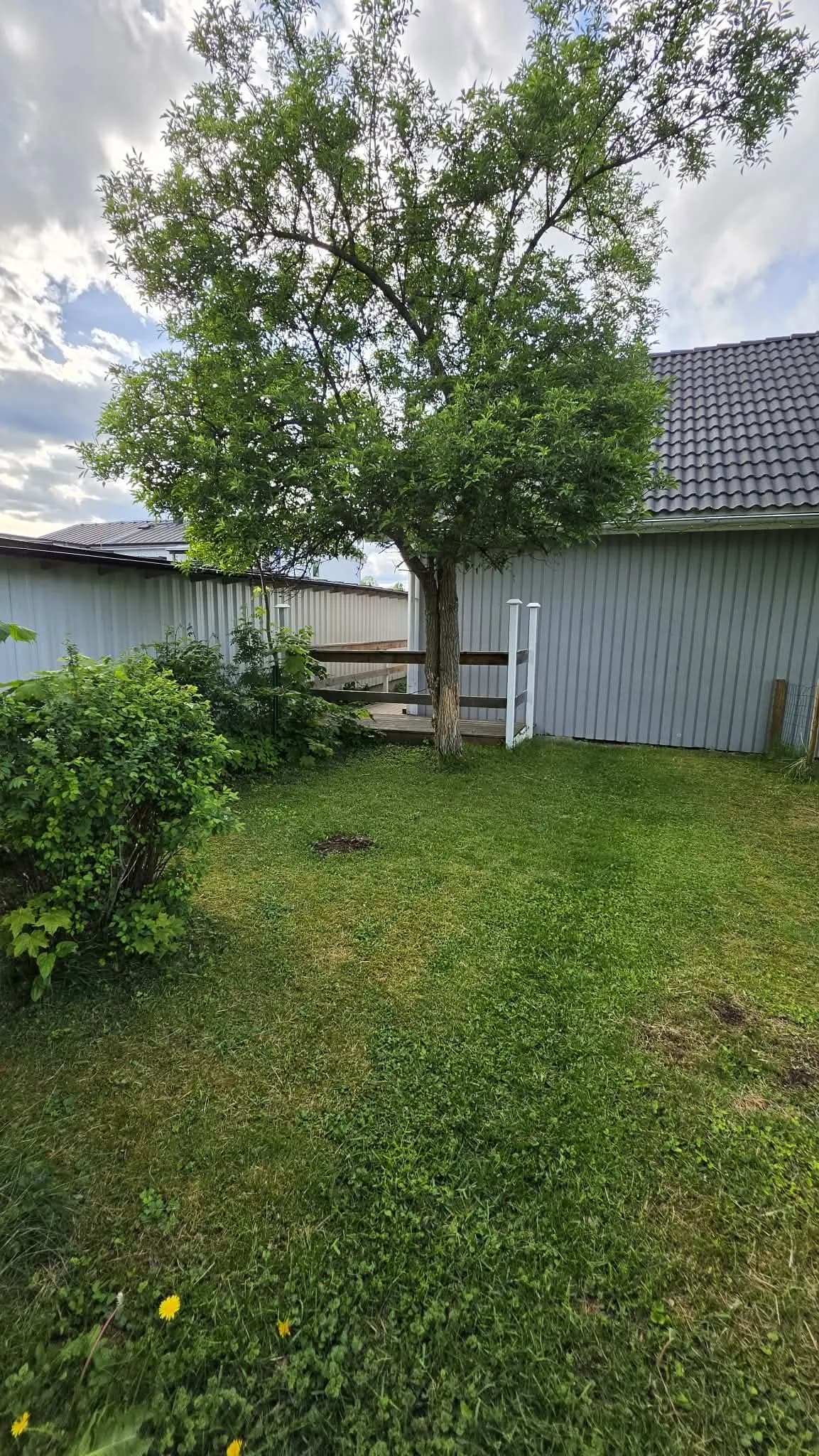 Dannemoravägen i Örbyhus