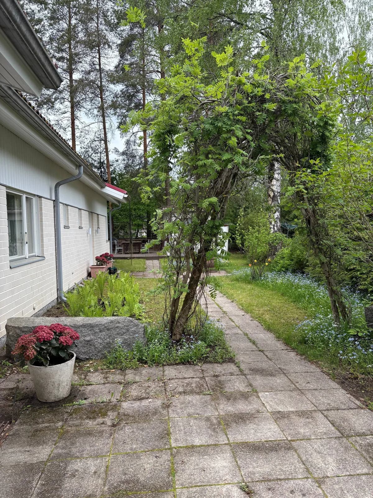 Malpakantie i Ylöjärvi