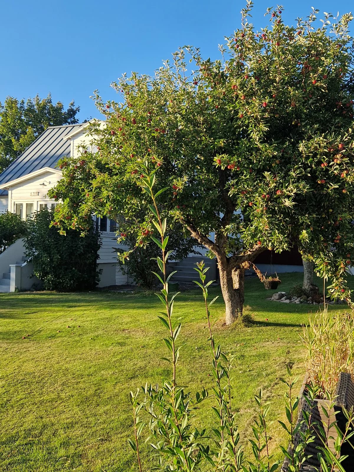 Rammsjövägen i Båstad